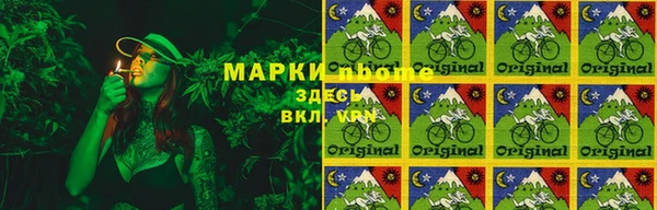 дмт Алексин