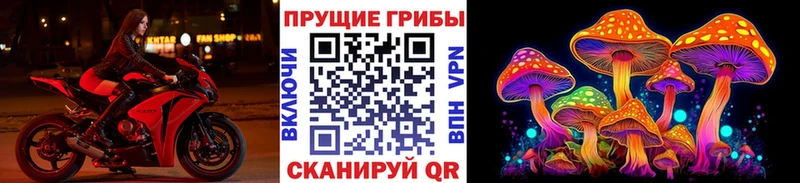 Галлюциногенные грибы прущие грибы  закладка  Ливны 