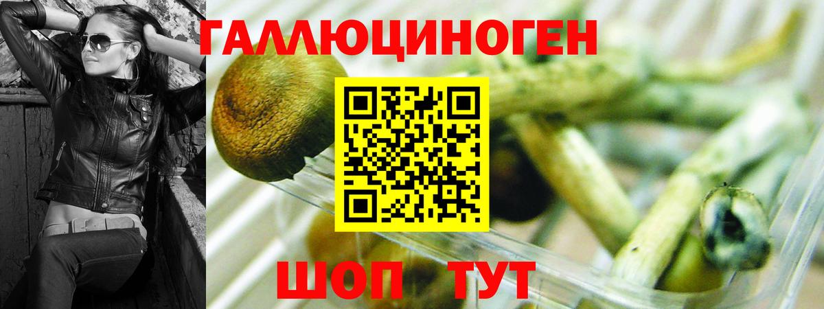 Галлюциногенные грибы ЛСД  Вход с VPN  Ливны  Псилоцибиновые грибы MAGIC MUSHROOMS 